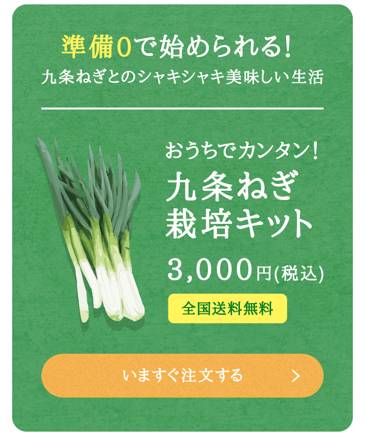 九条ねぎ栽培キット