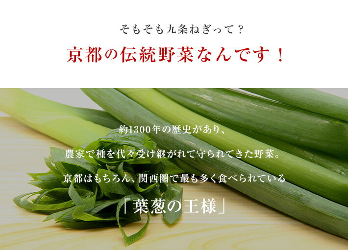 京都九条ねぎをたっぷり使った「京都九条のねぎ塩ドレッシング」【オレンジページ掲載!】お肉・お魚にもぴったり！