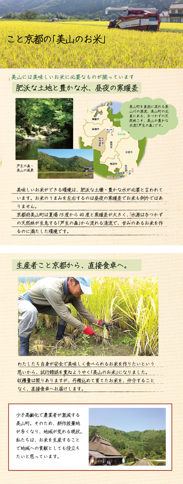 美山には美味しいお米に必要なものが揃っています。美味しいお米ができる環境は、肥沃な土壌・豊かな水が必要と言われています。お米のうまみを左右するのは昼夜の寒暖差でお米も例外ではありません。
京都府美山町は夏場15度から40度と寒暖差が大きく、水源は手つかずの天然林が生息する芦生の森から流れる清流で、甘みのあるお米を作るのに満たした環境です。生産者こと京都から直接食卓へお届けします