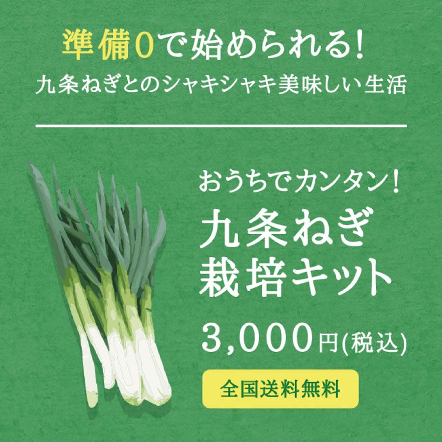 3,000円表記